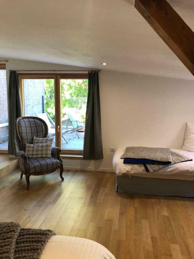 Les Gites De La Limonaderie Strasbourg Ngoại thất bức ảnh